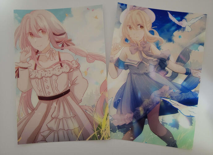 Infinity Nikki Prints